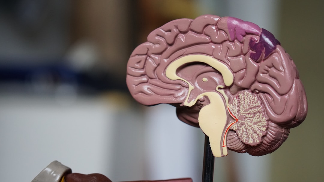 Understanding the Difference Between Alzheimer's Disease and Dementia 1 img