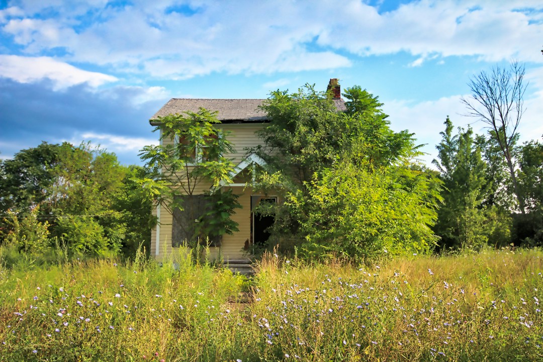 Who Provides Great Texas Land Clearing Services? 1 img