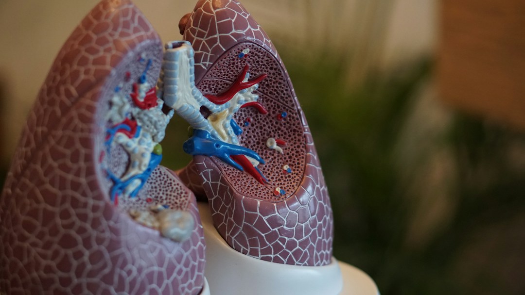 What Will I Learn in a Respiratory Therapy Program? 7 img