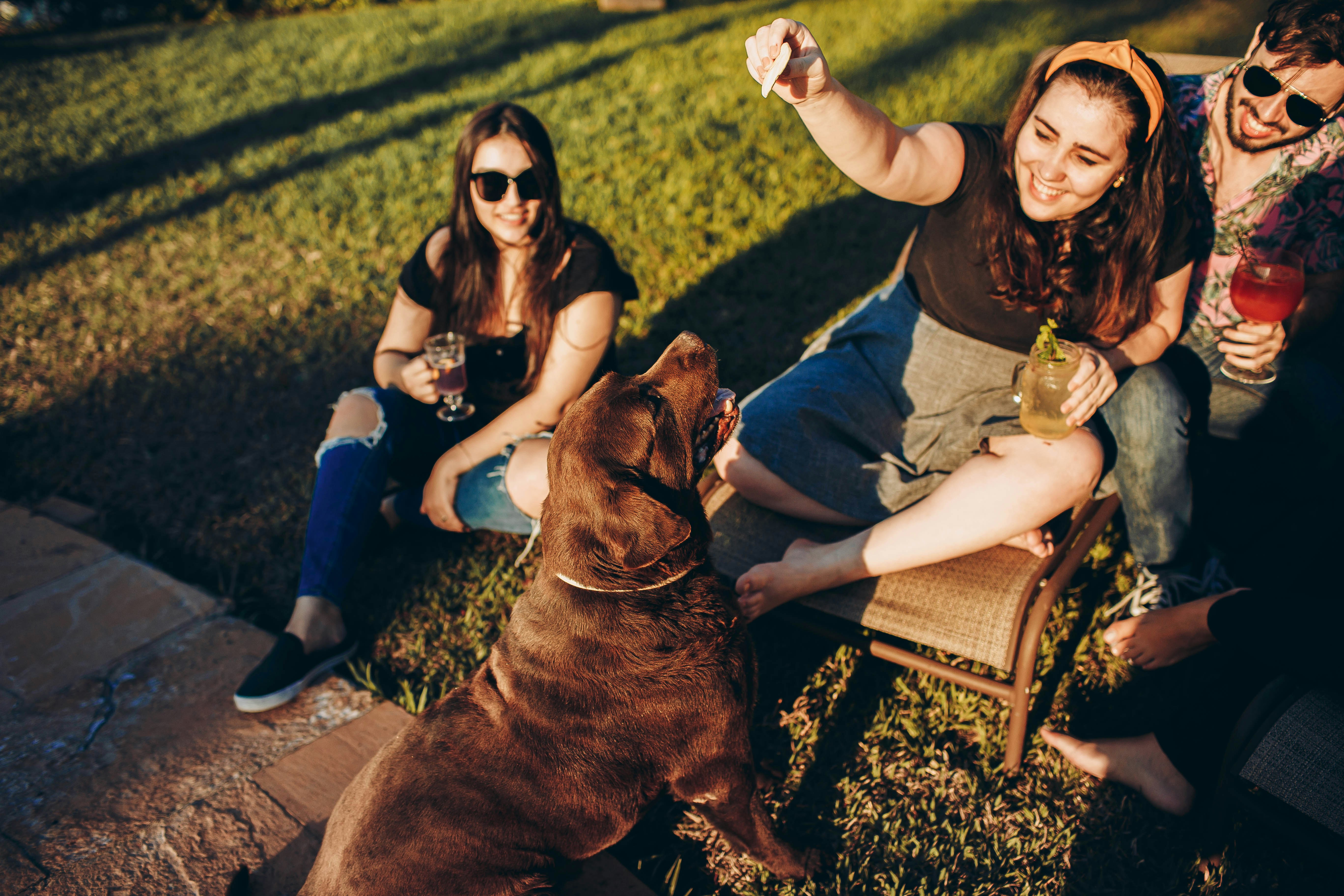 5 Ideas for Staging Pet Photos 13 img