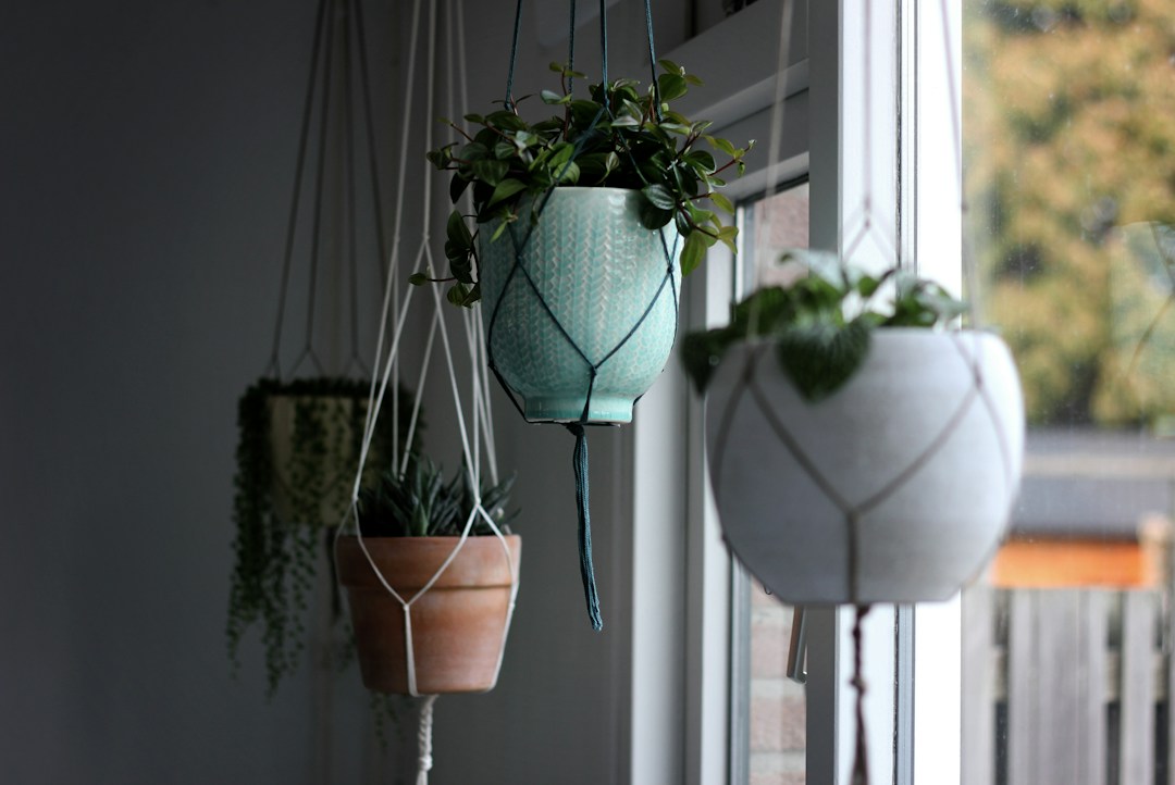 Home Furnishings That Will Make You and Your Pet Happy 8 img