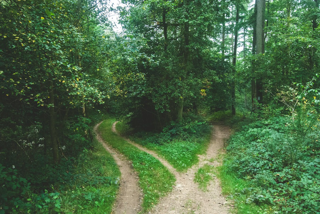 3 Things to Do Before Selling Your Business 1 img
