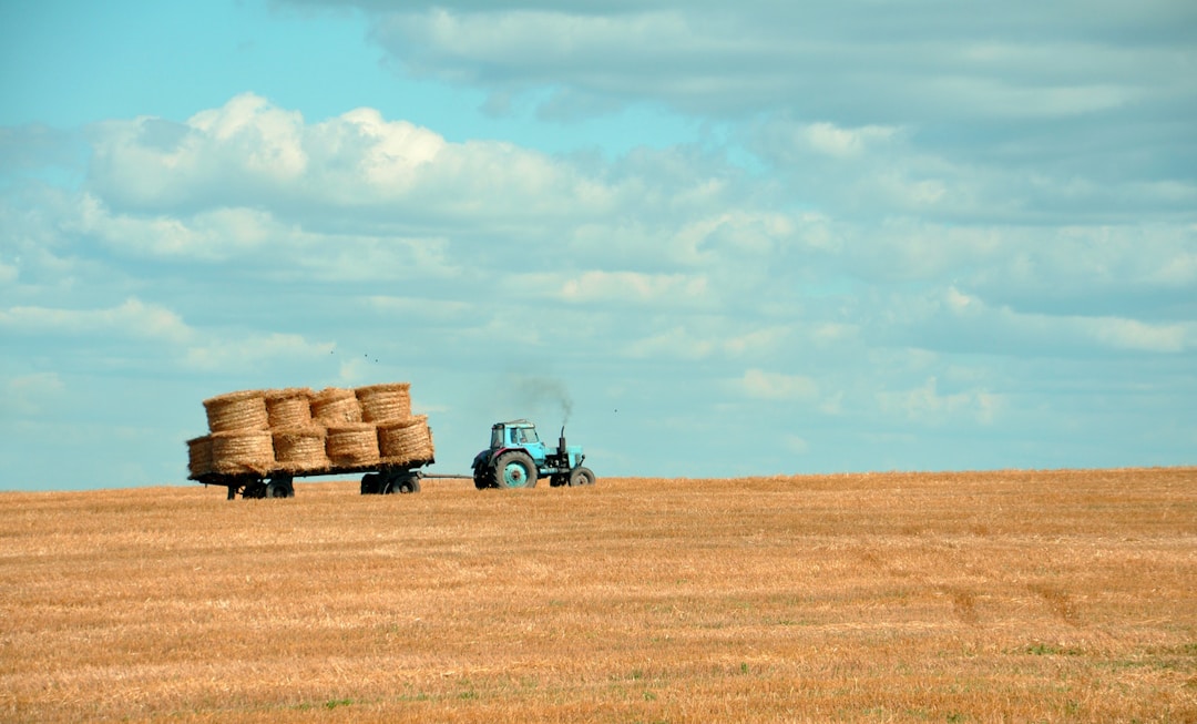 What It Takes To Start and Grow a Farm 1 img