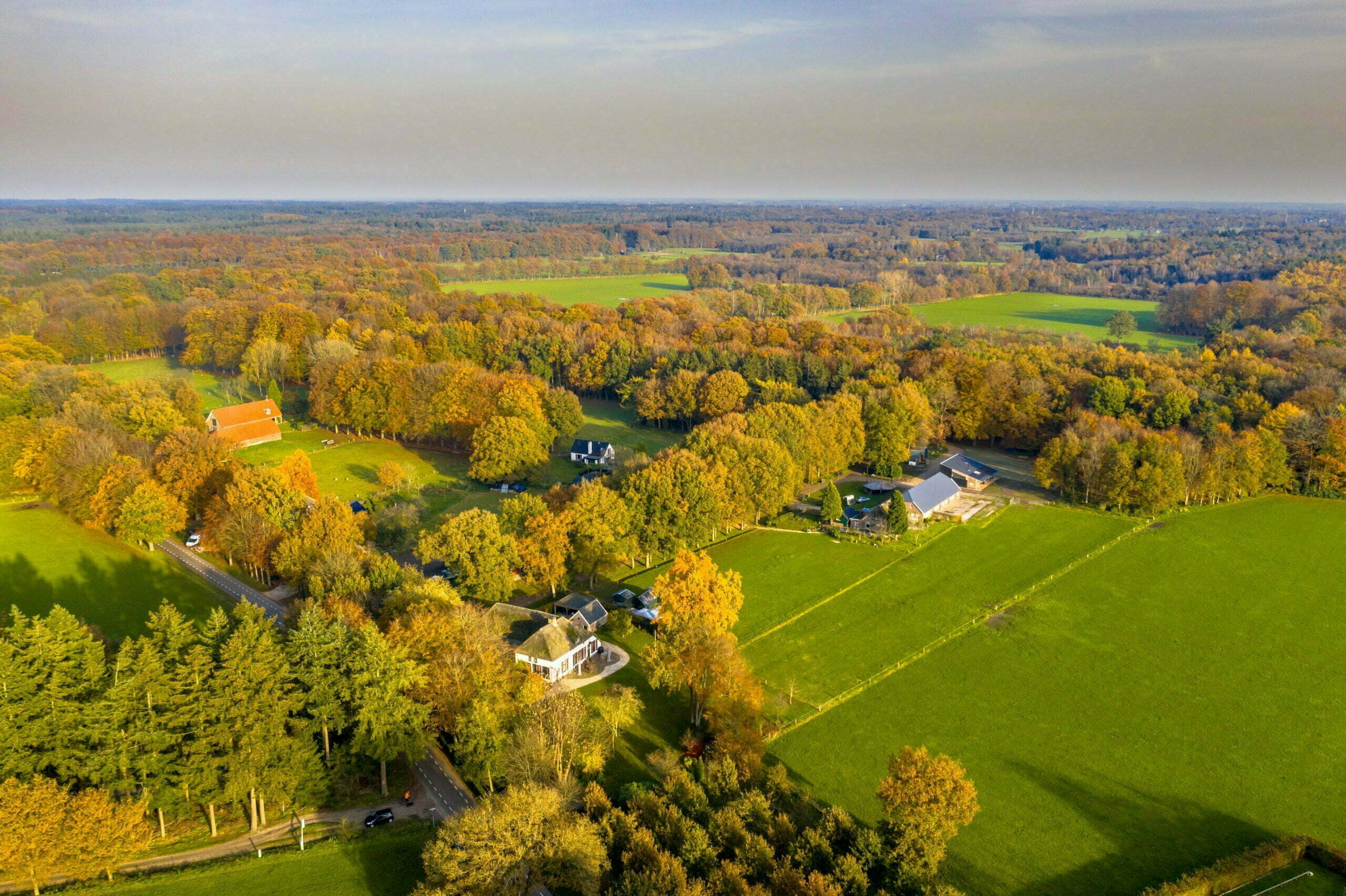 a landscape with trees and houses