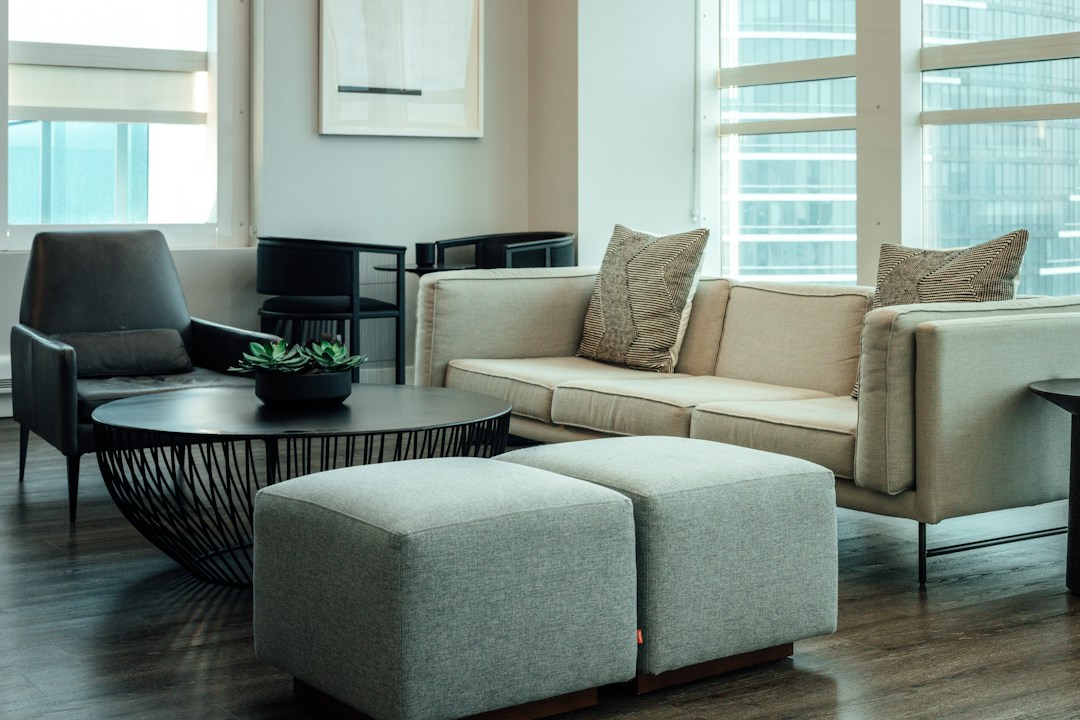 Home Furnishings That Will Make You and Your Pet Happy 7 img