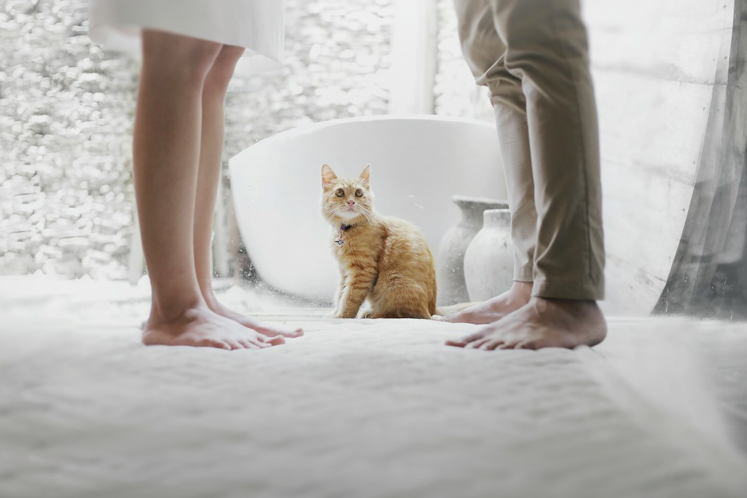Steps You Need to Take Before a Divorce 2 img