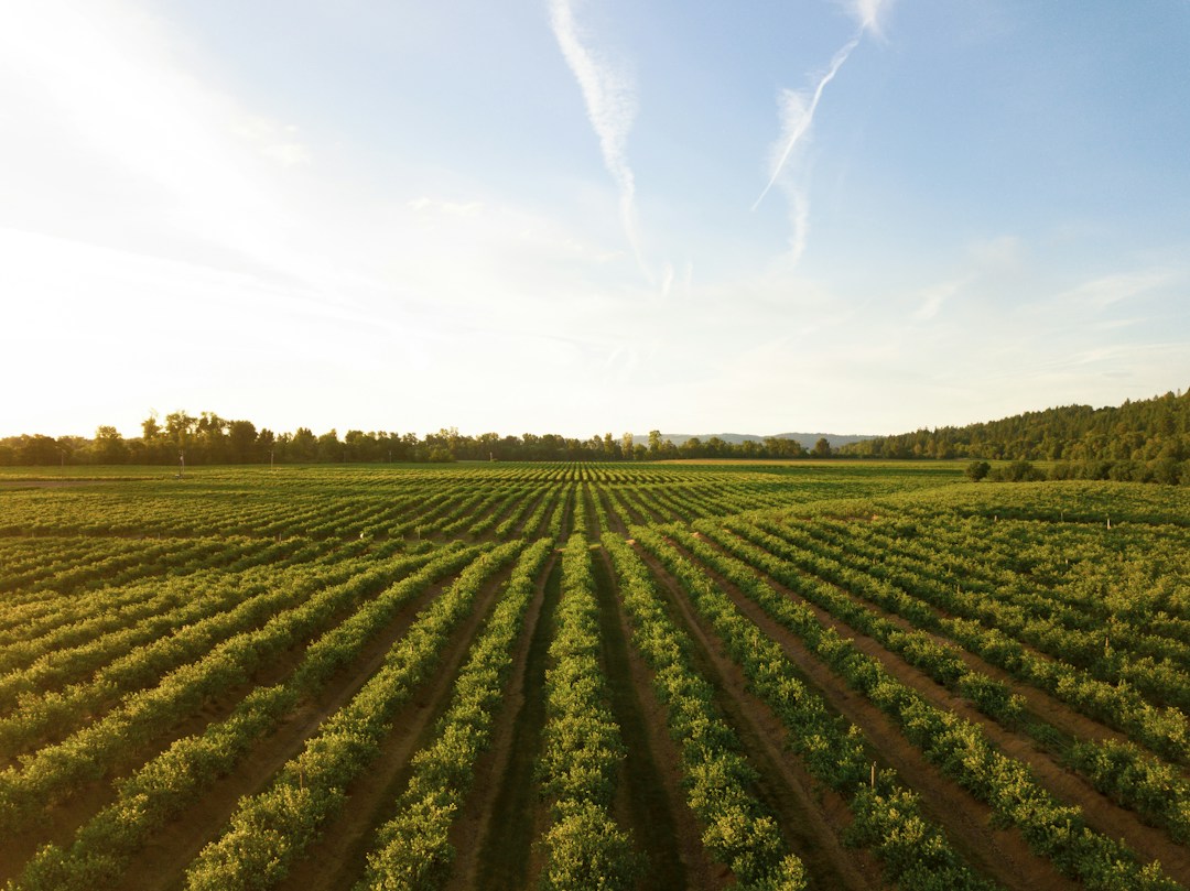 What It Takes To Start and Grow a Farm 2 img