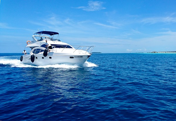 Luxury Investments You Should Consider 9 img